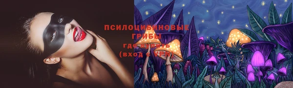 apvp Балабаново