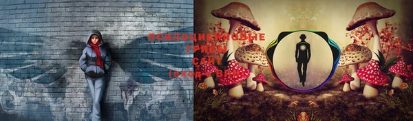 apvp Балабаново
