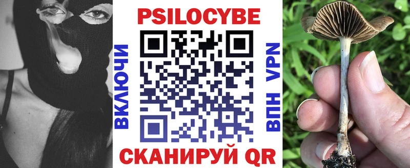 Галлюциногенные грибы Psilocybe  Пенза 